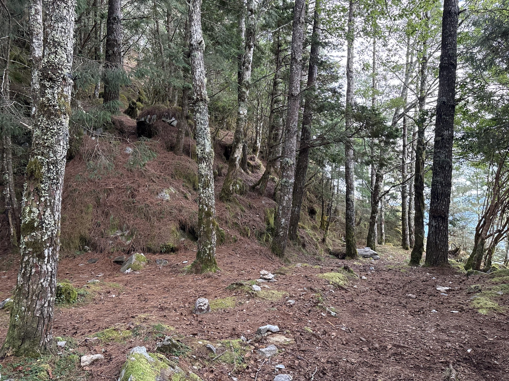 瑞穗34k附近營地