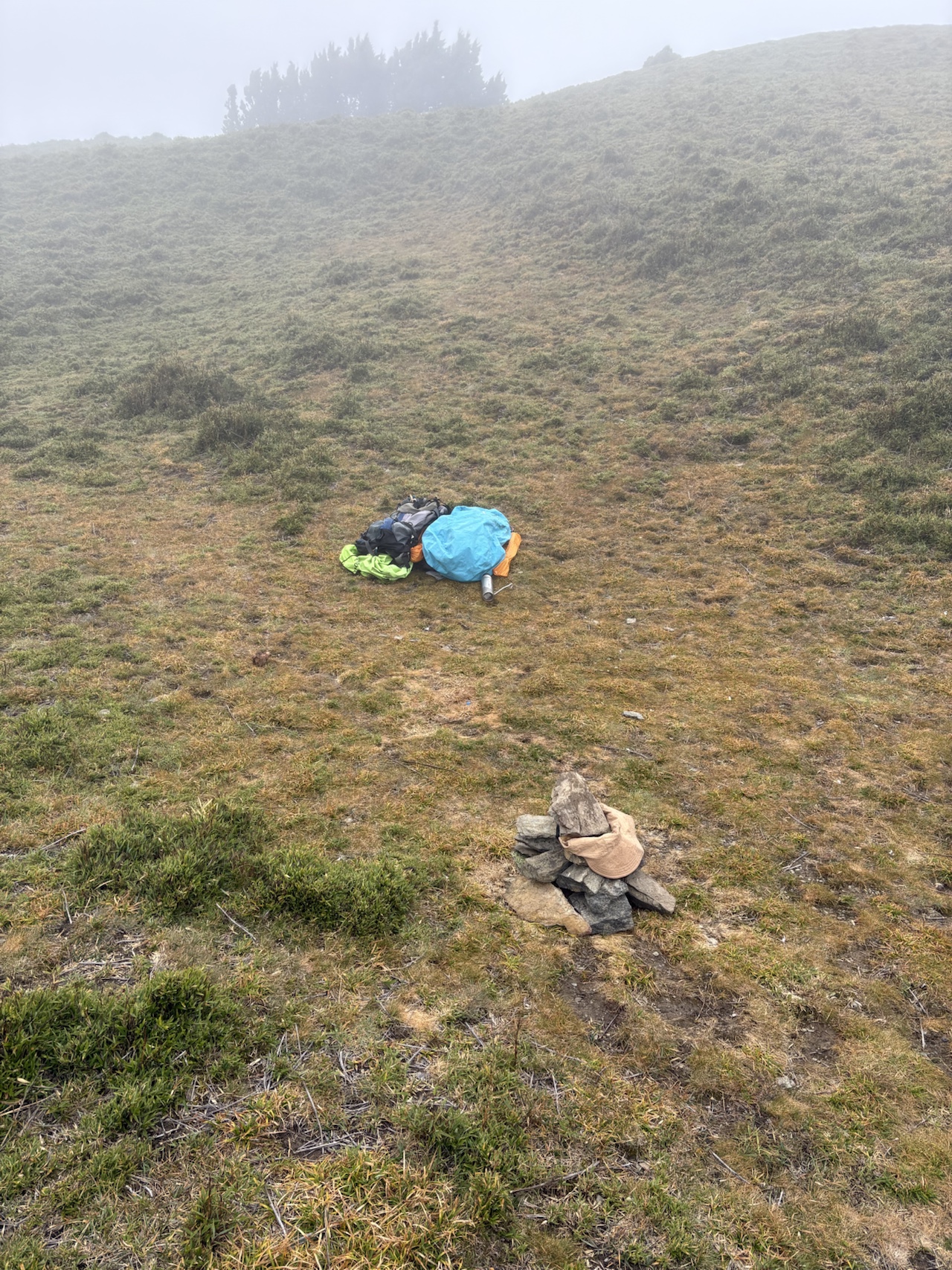 可樂可樂安山逝者